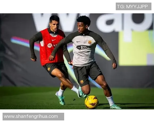 柔佛达罗塔晋与彭哼的精彩对决引发球迷热议与期待