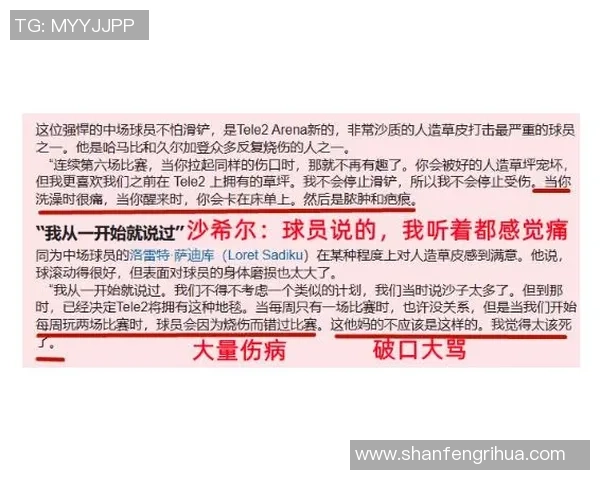 北雪平对阵哈马比比赛前瞻及比分预测分析九月一日赛事动态