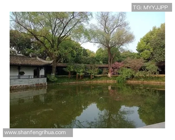 德雷森:咱们在和那些不需要为钱忧愁的沙龙竞赛,但这很好